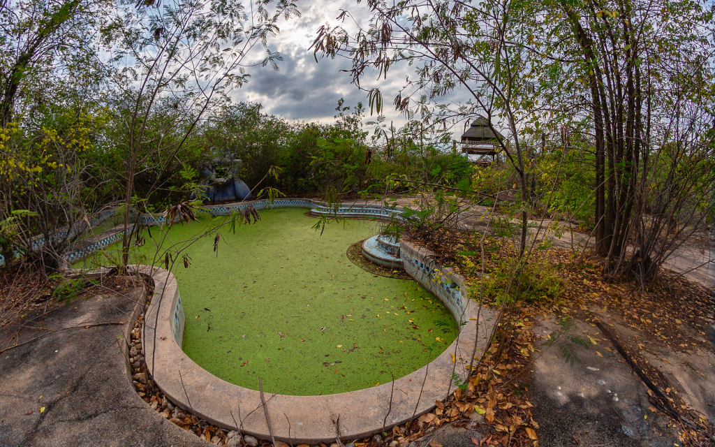 An abandoned, algae-filled pool with overgrown vegetation.
