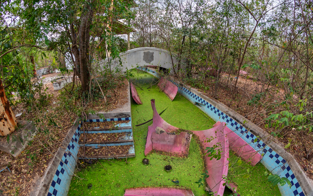 An abandoned swimming pool or water park slide structure filled with green algae and surrounded by overgrown trees and plants.
