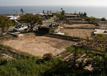 Rebuilding After Fires, L.A. Neighbors Join Forces and Innovate