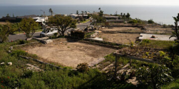 Rebuilding After Fires, L.A. Neighbors Join Forces and Innovate