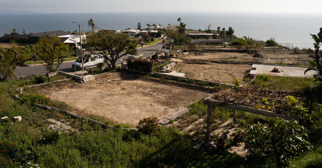 Rebuilding After Fires, L.A. Neighbors Join Forces and Innovate