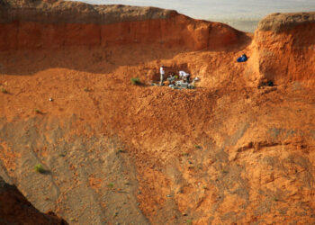 A New York Museum Honors Its Real-Life ‘Indiana Jones’ Dinosaur Hunters