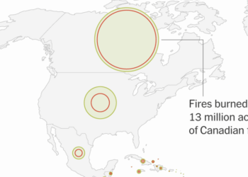 Global Deforestation Slows, Analysis Finds. But Fires Remain a Major Threat.