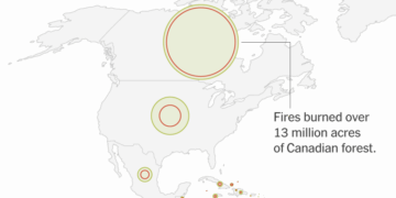 Global Deforestation Slows, Analysis Finds. But Fires Remain a Major Threat.