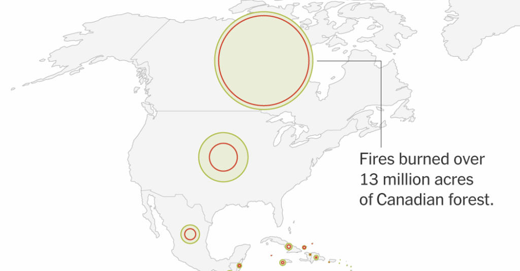 Global Deforestation Slows, Analysis Finds. But Fires Remain a Major Threat.