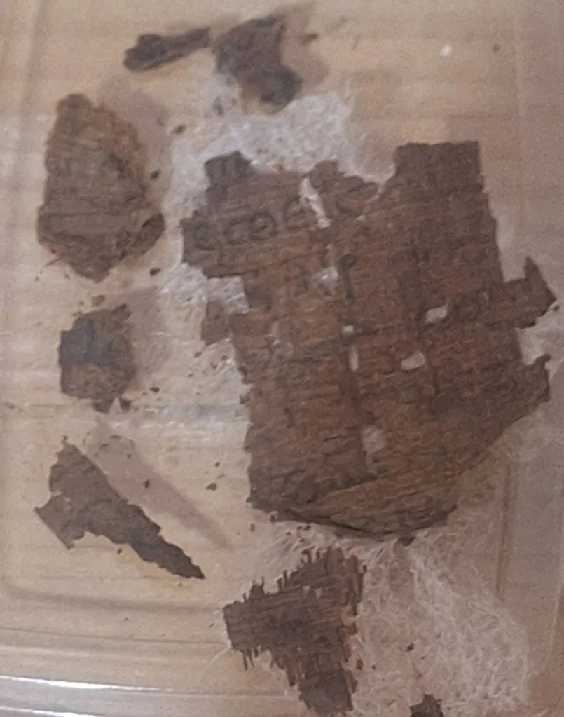 Fragments of a papyrus from Homer's Iliad discovered in an Egyptian mummy.