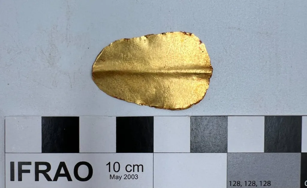 Ancient Egyptian golden tongue artifact.