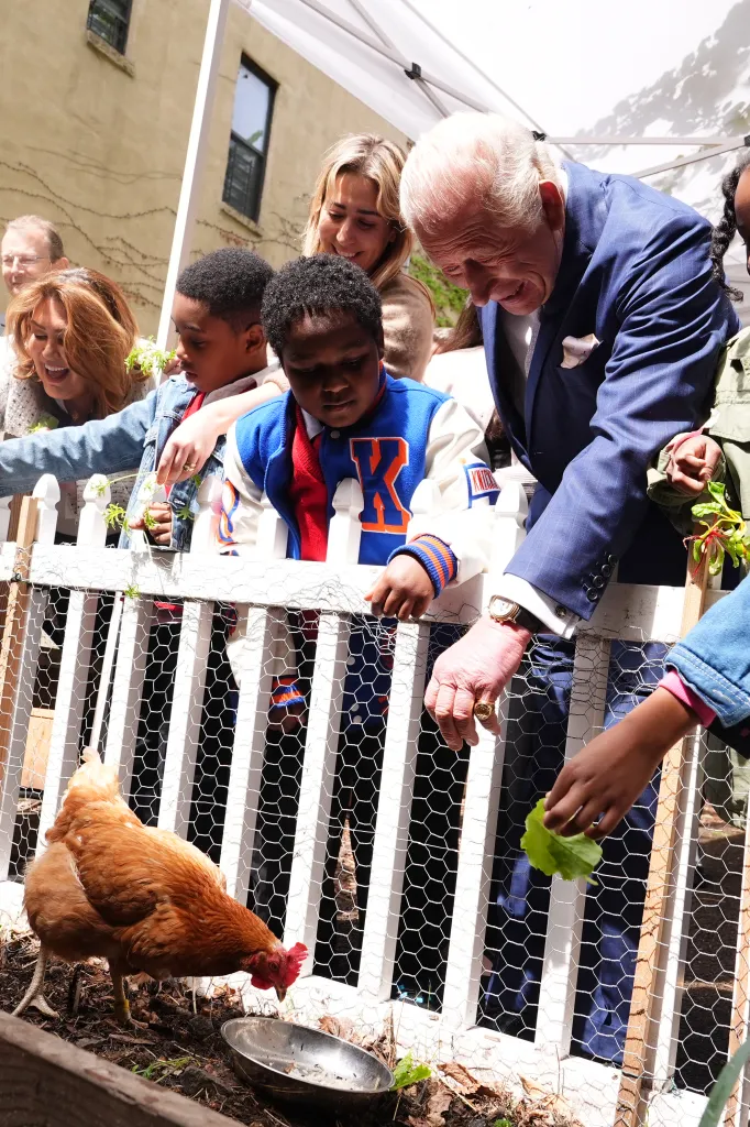 King Charles III helps children feed chickens at Harlem Grown.