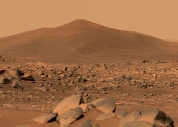 Could an Earthly Fungus Contaminate Mars? NASA May Have Found One Hardy Enough.