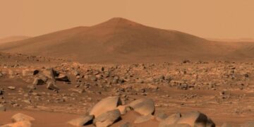 Could an Earthly Fungus Contaminate Mars? NASA May Have Found One Hardy Enough.