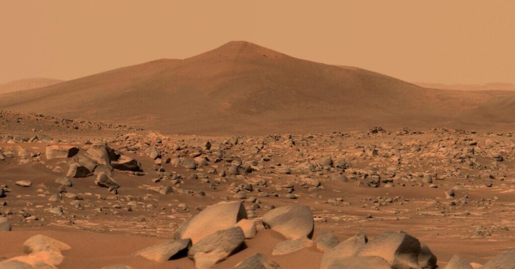 Could an Earthly Fungus Contaminate Mars? NASA May Have Found One Hardy Enough.