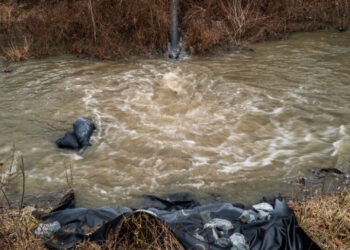 E.P.A. and Maryland Sue D.C. Utility Over Potomac River Sewage Spill