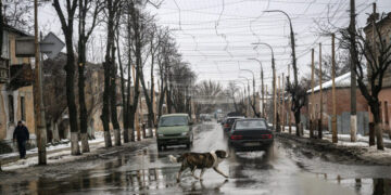 ‘Donnyland’? Ukraine Proposes Renaming Part of the Donbas in Trump’s Honor