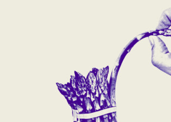 ‘The Rich Don’t Play by the Rules. So Why Should I?’