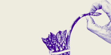 ‘The Rich Don’t Play by the Rules. So Why Should I?’