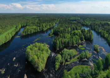 An Installation in Nature has Climate Lessons for Humans