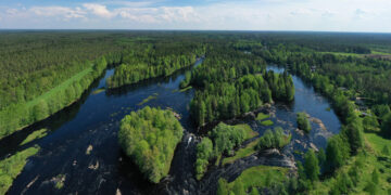 An Installation in Nature has Climate Lessons for Humans