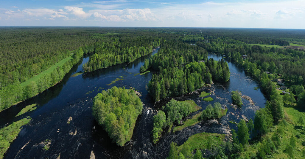 An Installation in Nature has Climate Lessons for Humans