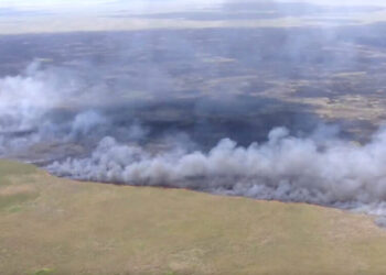Wildfires in Georgia Destroy Homes and Set Off Evacuations