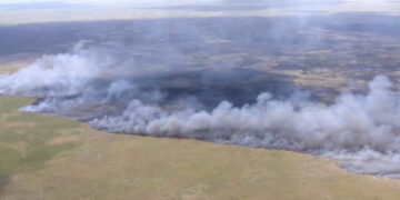 Wildfires in Georgia Destroy Homes and Set Off Evacuations