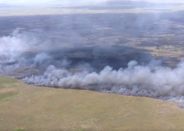 Wildfires in Georgia Destroy Homes and Set Off Evacuations