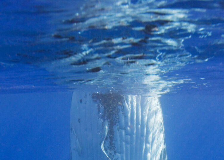Doug Allan, Polar Cameraman for David Attenborough’s Films, Dies at 74