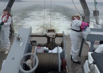 A Huge Sewage Spill Is Over, but Contamination Lingers in the Potomac