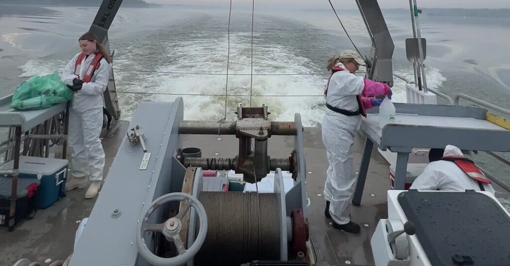 A Huge Sewage Spill Is Over, but Contamination Lingers in the Potomac