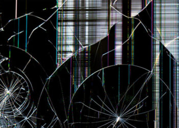 My Years Capturing the Global Fight for Democracy