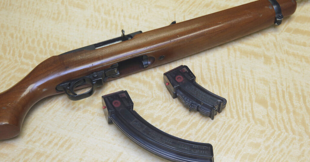 Court Revives D.C.’s Ban on High-Capacity Gun Magazines, for Now