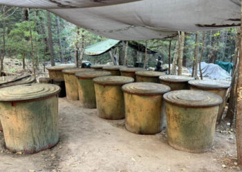 A Deadly Crash Is a Reminder of the Depth of U.S. Security Ties in Mexico