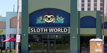 31 Sloths Acquired by an Orlando Animal Attraction Died, Officials Say