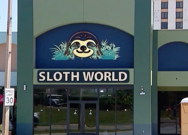 31 Sloths Acquired by an Orlando Animal Attraction Died, Officials Say