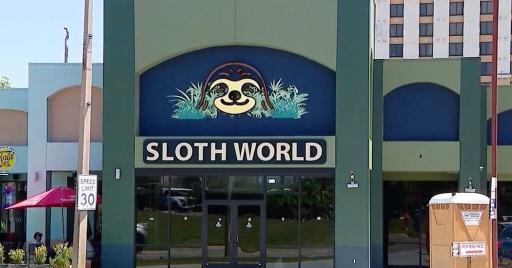 31 Sloths Acquired by an Orlando Animal Attraction Died, Officials Say