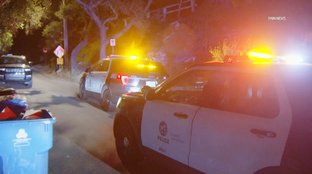 Two police cars with flashing lights are parked on a street at night.