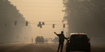 Wildfires Destroy Dozens of Structures in Georgia, Governor Says