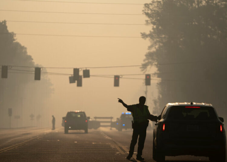 Wildfires Destroy Dozens of Structures in Georgia, Governor Says