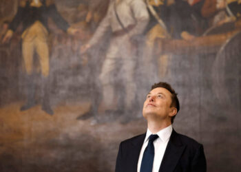 The Political Defeats of Elon Musk