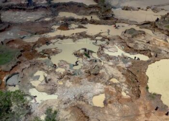 See What Happened After We Found a Cartel Mine on a Military Base