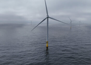 Trump Administration Will Pay Energy Firms to Cancel Wind Farms. Again.