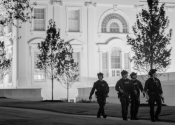 Assassination Attempts Have Unforeseen Political Consequences