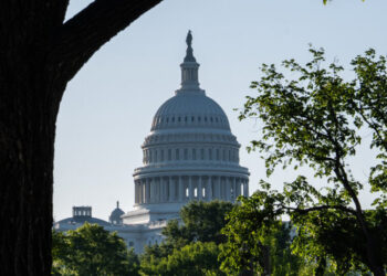 White House Urges House to Quickly Fund D.H.S.