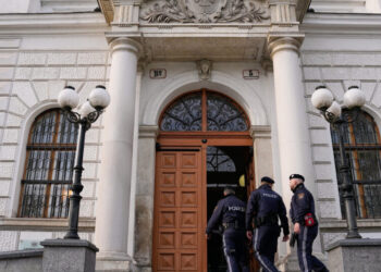 Man Pleads Guilty to Planning Attack at Taylor Swift Concert in Vienna