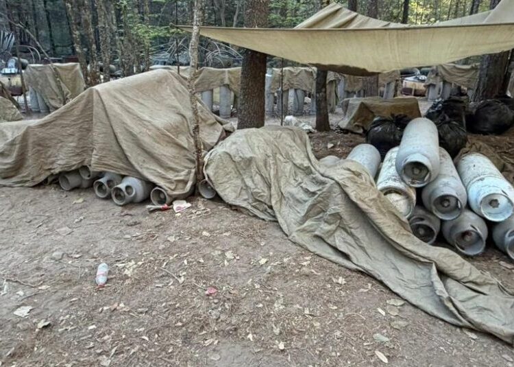 Mexico Says 4 Foreigners Were at Cartel Raid Where Two C.I.A. Officers Died