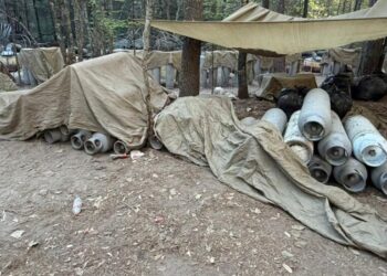 Mexico Says 4 Foreigners Were at Cartel Raid Where 2 C.I.A. Officers Died