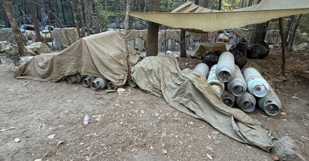 Mexico Says 4 Foreigners Were at Cartel Raid Where 2 C.I.A. Officers Died