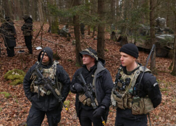 Trump Threatens to Pull Troops From Germany as He Lashes Out at Merz