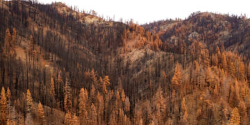 As Wildfire Risks Rise, Forest Service Shutters Labs That Study Them