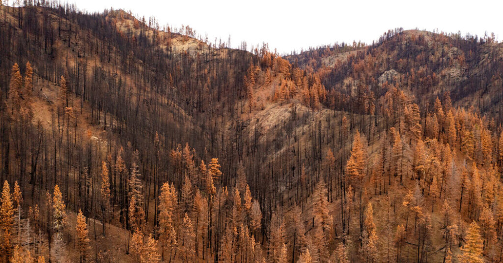 As Wildfire Risks Rise, Forest Service Shutters Labs That Study Them