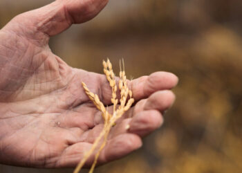 House Passes Farm Bill After Republican Infighting